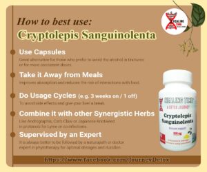 HT Post Cryptolepis Sanguinolenta 2