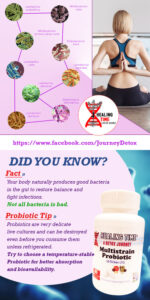 HT Post Multistrain_Probiotic-1